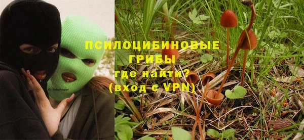прущий лед Аркадак